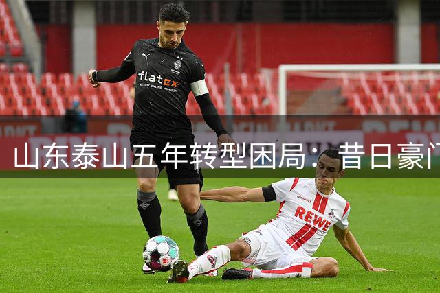 山东泰山五年转型困局：昔日豪门如何重振雄风