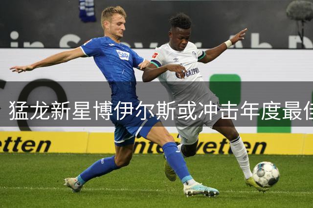 猛龙新星博伊尔斯或冲击年度最佳第六人